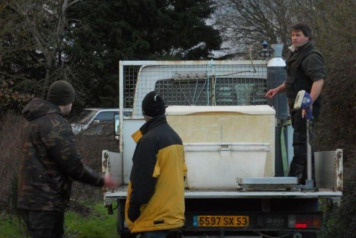 Additional carp stocked - 1