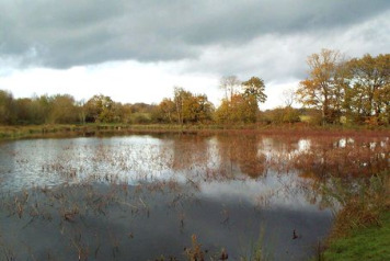 Work Begins on Lake William - 1