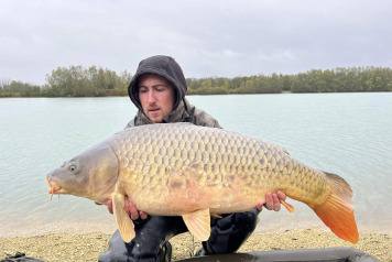 An Additional 7 Carp - 4