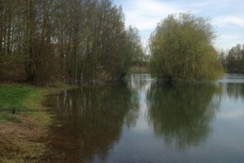 An Update On The Water Levels - 2