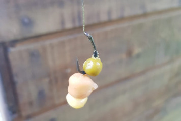 Another 24hr Session on Villefond - 7