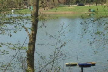 An Update On The Water Levels - 5