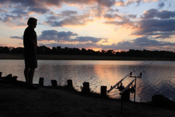 Draining and Netting Done! - 1