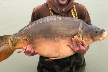 New stock for 2022 - 1