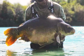 50’S AND SUNSHINE - 2