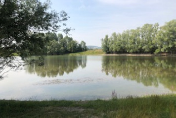 Water level update - 6