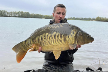 Additional Stocking - 2