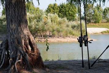 Feedback 20th-24th August - 1