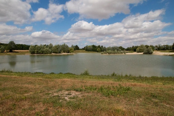 Winter Work To The Lake - 1