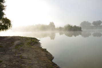 20 Fish For One Angler - 1