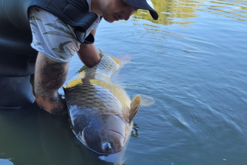 Catch report week commencing 26th August - 1