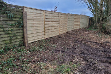 Some fresh news from Laroussi - 10