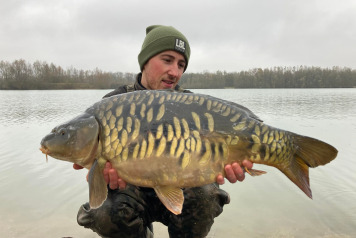 More Carp Stocked this November - 7