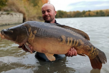 Annual Netting & Additional Stocking - 5