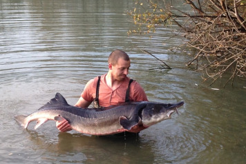 88lb Sturgeon - 1