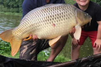 A Successful Week For The Hicks Party - 5