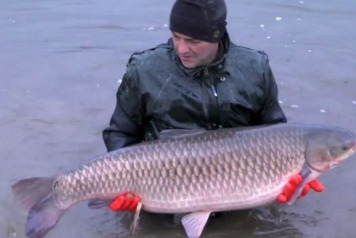 Brie Stocking - January 2014 - 3