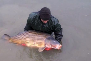 Brie Stocking - January 2014 - 1