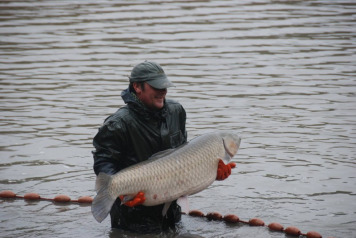 Netting The Lake - 2