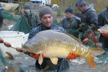 Netting The Lake - 1