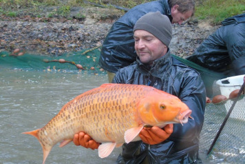 Netting The Lake - 3