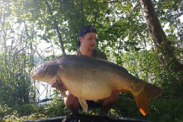 Two Fifties Out Of Swim 5 - 2