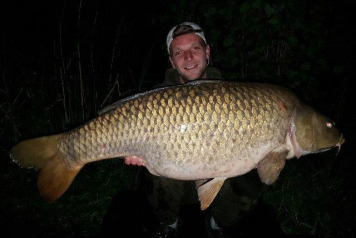 Two Fifties Out Of Swim 5 - 1