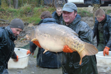 Netting The Lake - 7