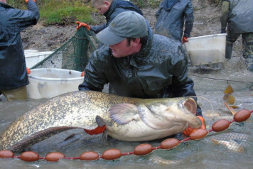 Netting The Lake - 5