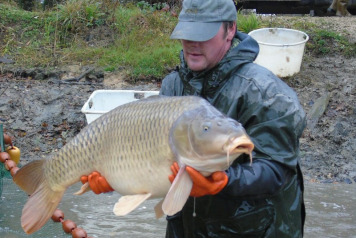 Netting The Lake - 8