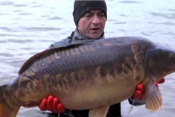 Additional Stocking of Carp - 1