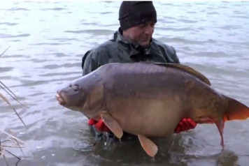 Additional Stocking of Carp - 3