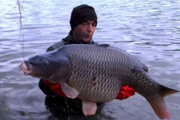 Brocard Small Gets Additional Stocking - 1