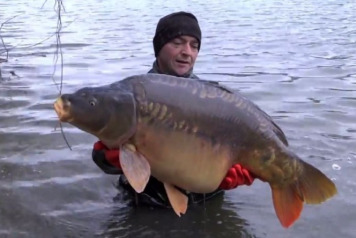 Brocard Small Gets Additional Stocking - 3