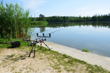 50% OFF AT BROCARD LARGE THIS MARCH - 1