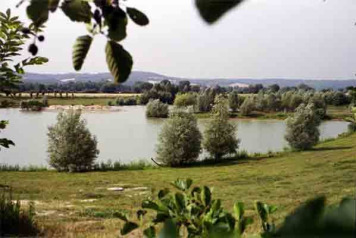 Beaurepaire facelift planned - 1