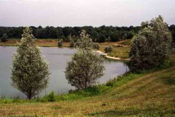 Beaurepaire facelift planned - 2