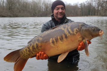 Additional Stocking  - 9