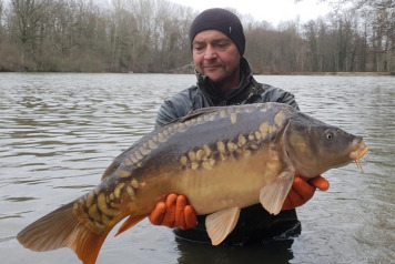 Additional Stocking  - 8