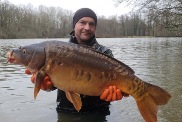 Additional Stocking  - 7