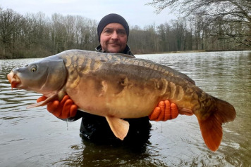 Additional Stocking  - 6