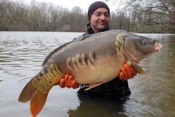 Additional Stocking  - 4