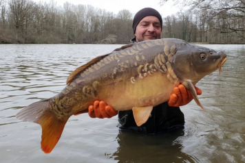 Additional Stocking  - 3