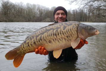 Additional Stocking  - 2