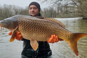 Additional Stocking  - 1