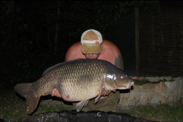 Week ending 15th July - 1