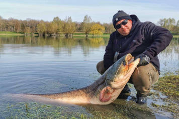 Bait test and catches - 5