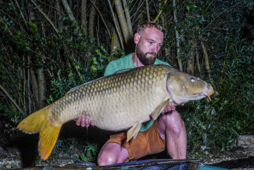 "Pretty fish festival" - 4