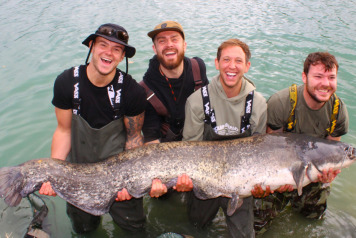 "ONE-JOB-BOB" @ 138LBS/63KG PLUS!!!!!!!! - 2