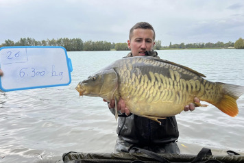 Additional Stocking - 4